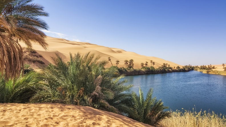 Desert oasis